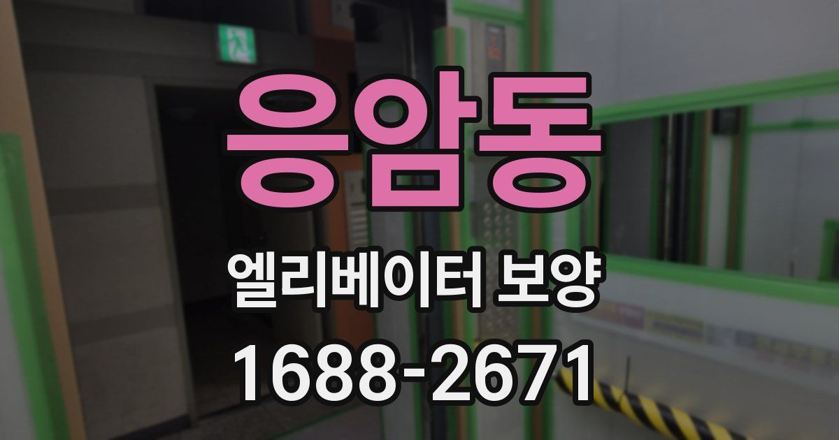 응암동 엘리베이터 보양
