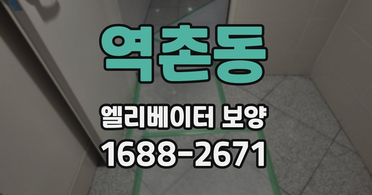역촌동 엘리베이터 보양