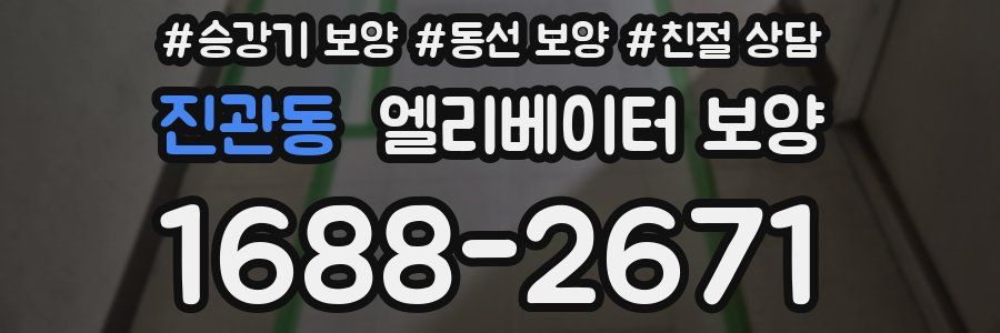 진관동 엘리베이터 보양