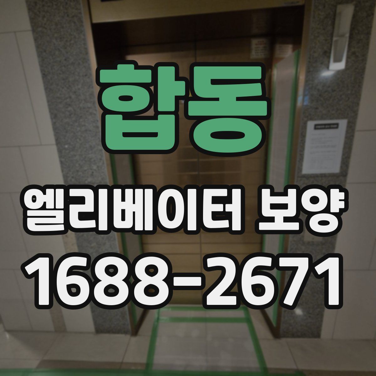합동 엘리베이터 보양