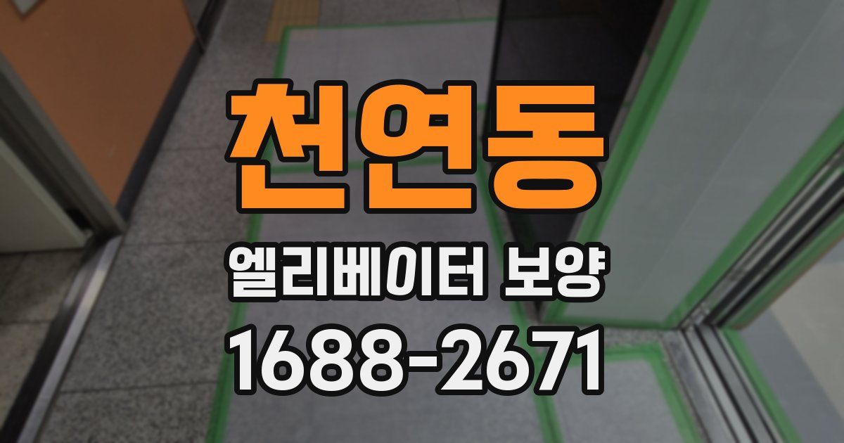 천연동 엘리베이터 보양