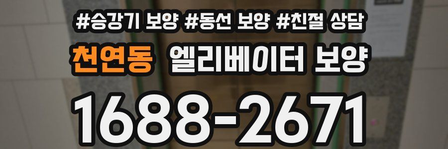 천연동 엘리베이터 보양