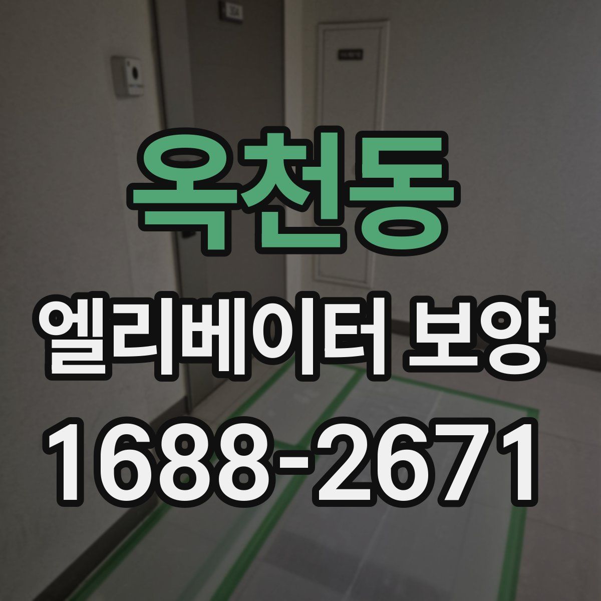 옥천동 엘리베이터 보양