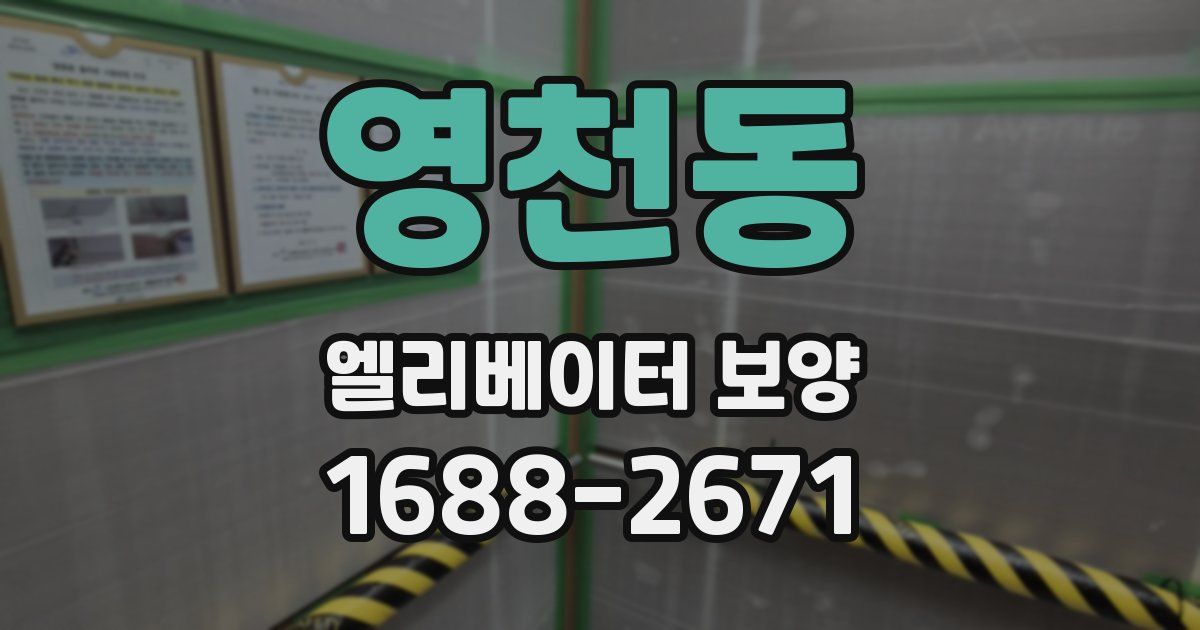영천동 엘리베이터 보양
