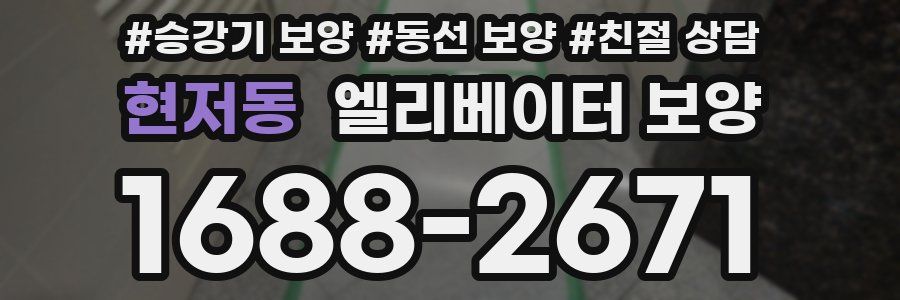 현저동 엘리베이터 보양