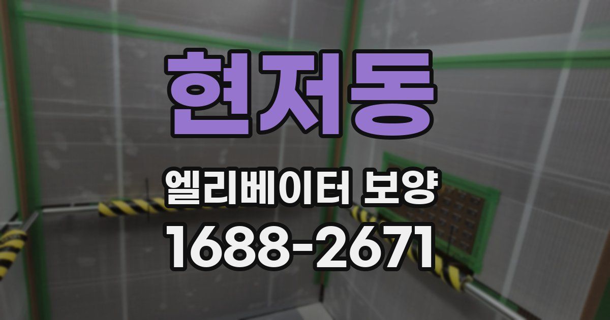 현저동 엘리베이터 보양
