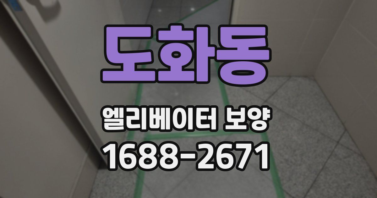 도화동 엘리베이터 보양