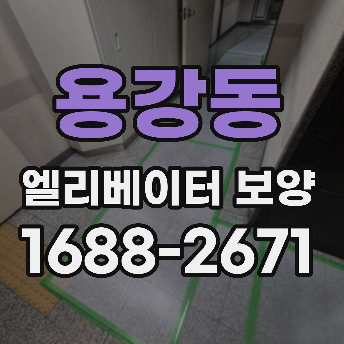 용강동 엘리베이터 보양