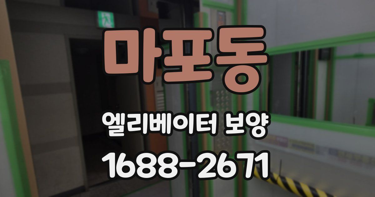 마포동 엘리베이터 보양