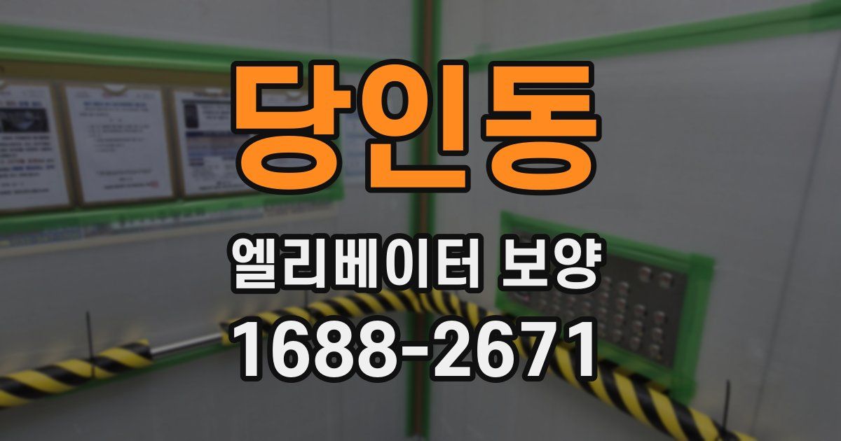 당인동 엘리베이터 보양