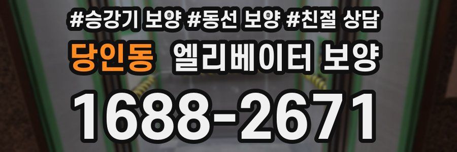 당인동 엘리베이터 보양