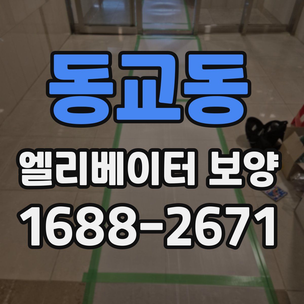 동교동 엘리베이터 보양