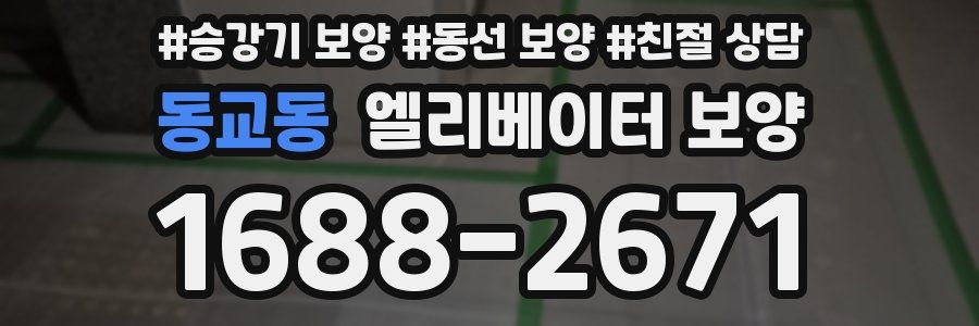 동교동 엘리베이터 보양