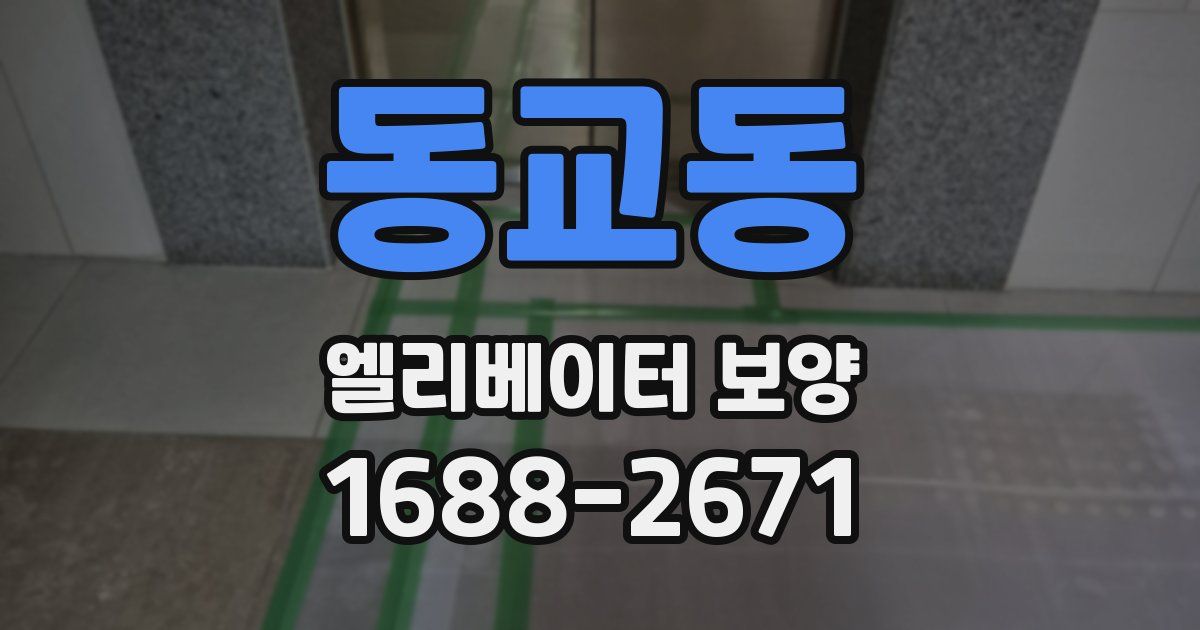 동교동 엘리베이터 보양
