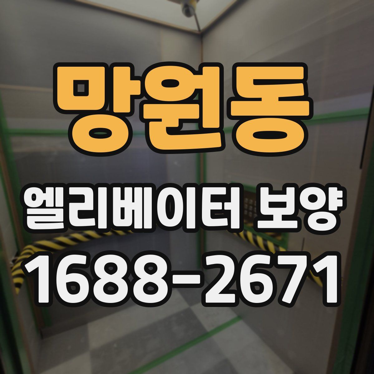 망원동 엘리베이터 보양