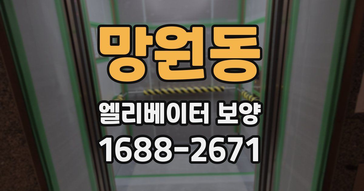 망원동 엘리베이터 보양