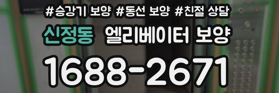 신정동 엘리베이터 보양