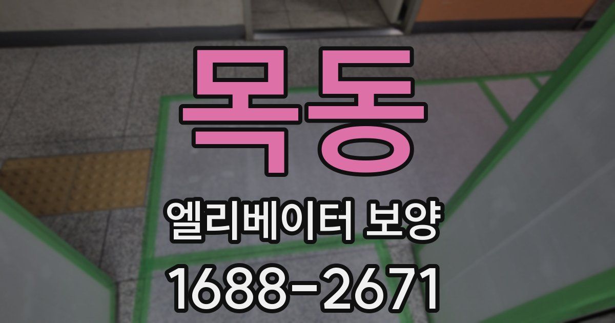 목동 엘리베이터 보양