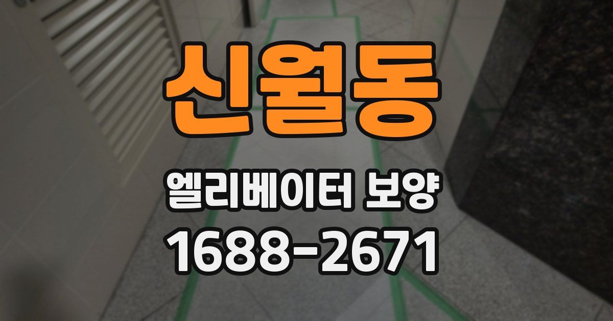 신월동 엘리베이터 보양