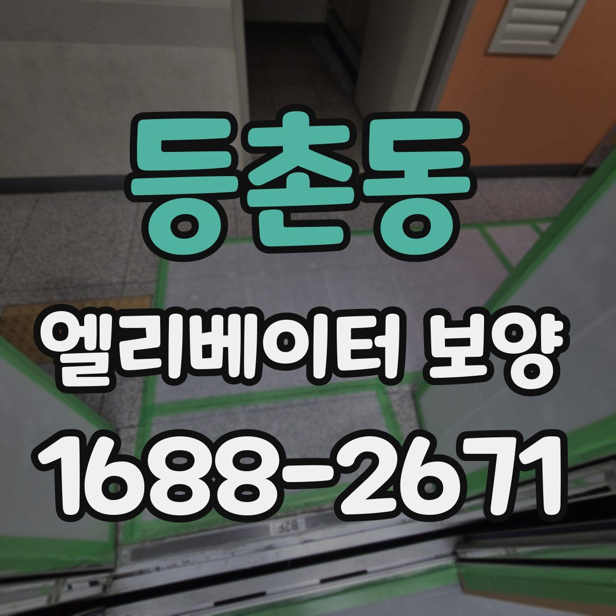 등촌동 엘리베이터 보양