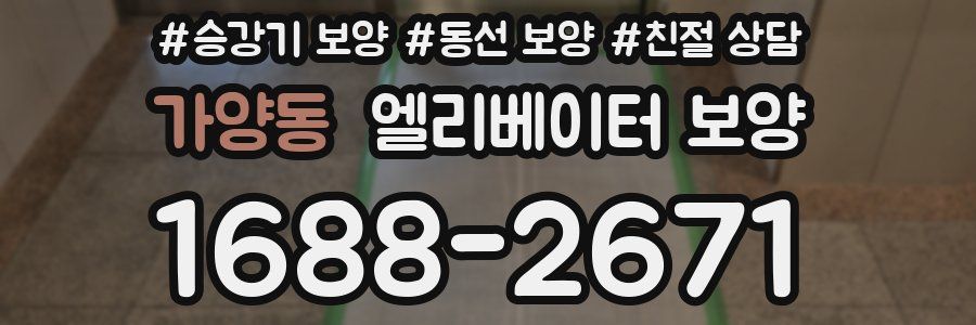 가양동 엘리베이터 보양