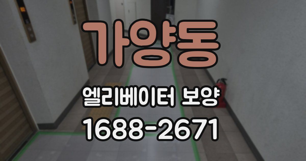 가양동 엘리베이터 보양