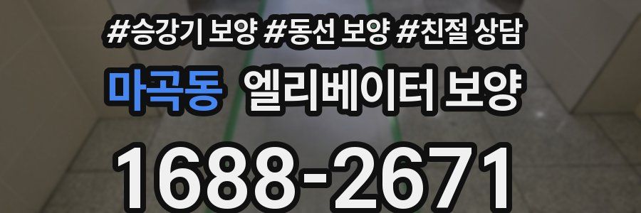 마곡동 엘리베이터 보양