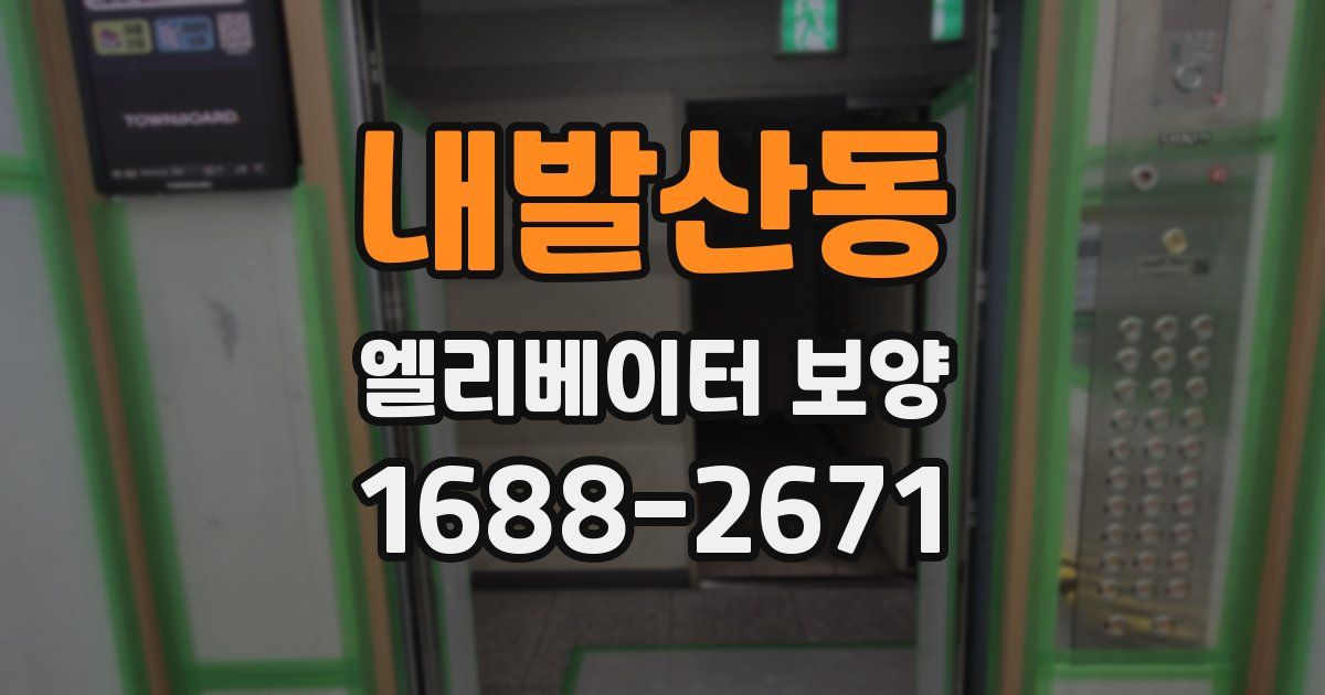 내발산동 엘리베이터 보양