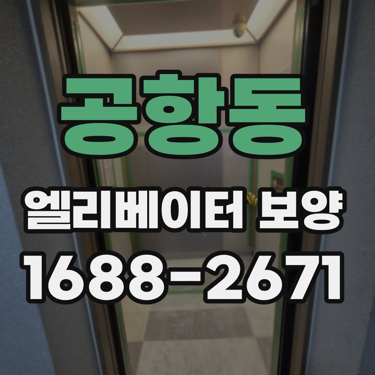공항동 엘리베이터 보양