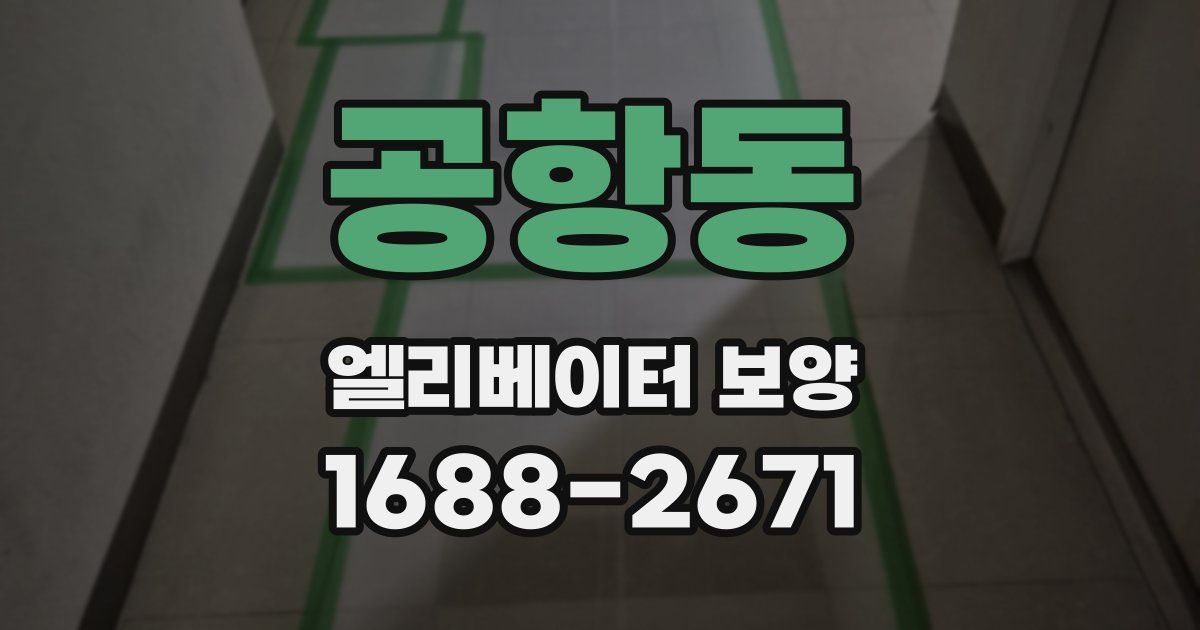 공항동 엘리베이터 보양