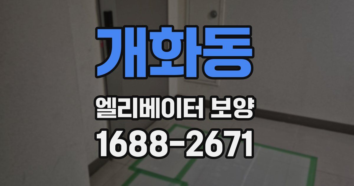 개화동 엘리베이터 보양