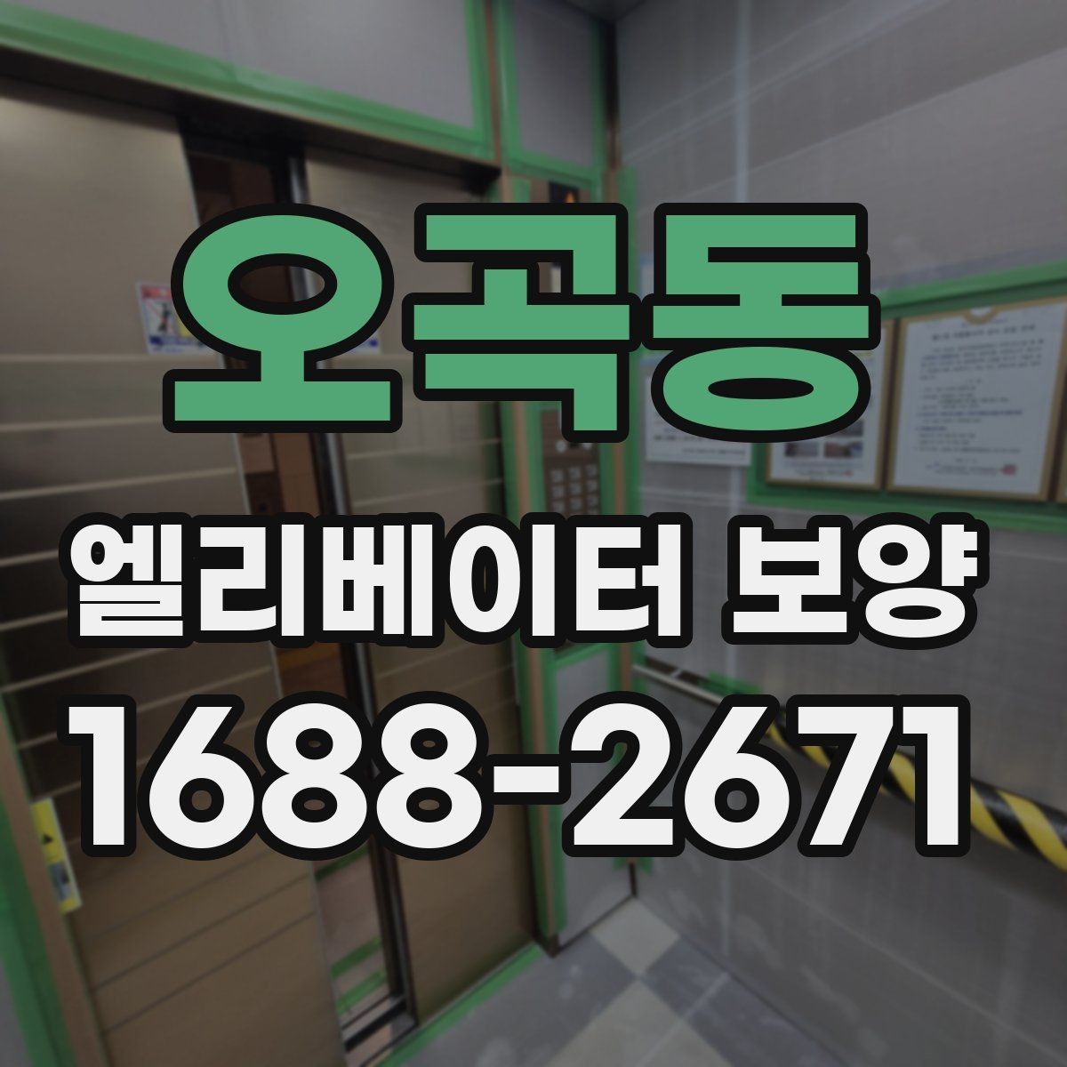 오곡동 엘리베이터 보양 일정 잡을 때 고려할 사항