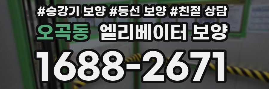 오곡동 엘리베이터 보양