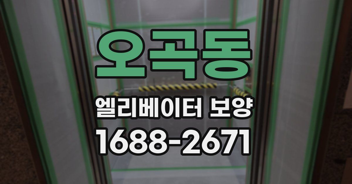 오곡동 엘리베이터 보양