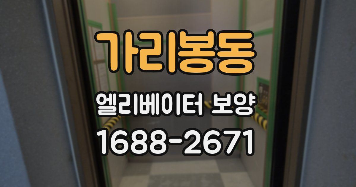 가리봉동 엘리베이터 보양