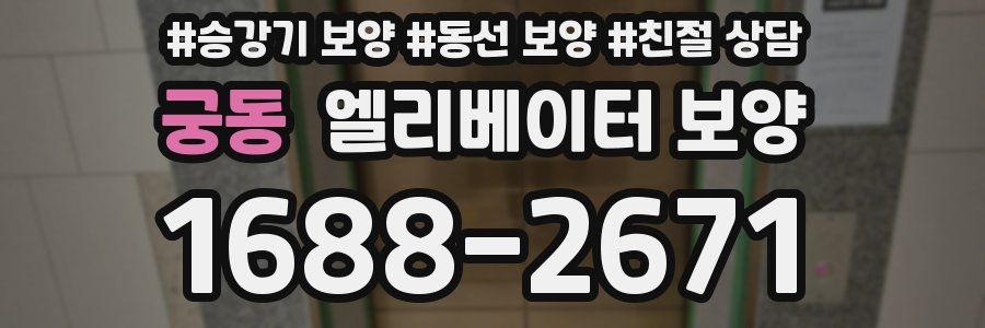궁동 엘리베이터 보양