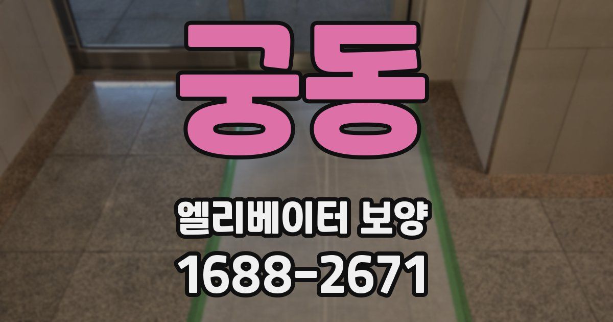 궁동 엘리베이터 보양