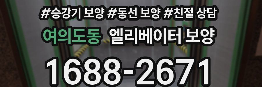 여의도동 엘리베이터 보양