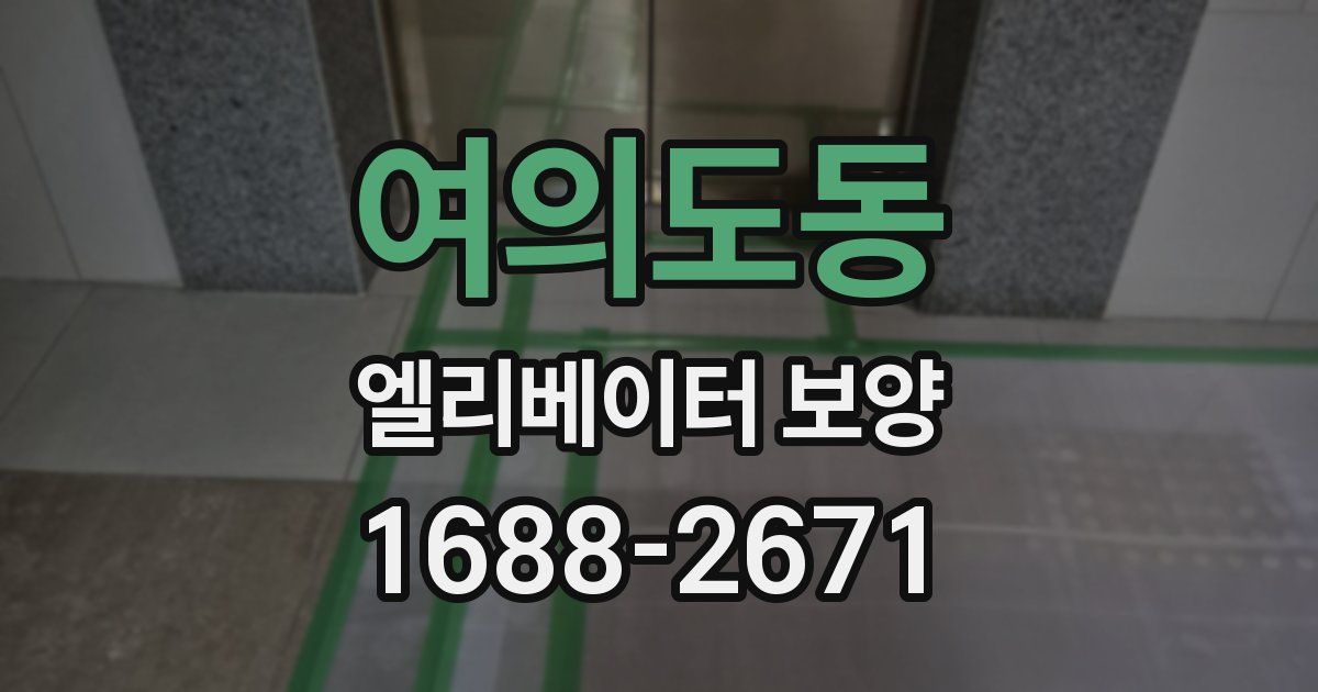 여의도동 엘리베이터 보양