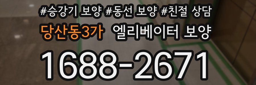 당산동3가 엘리베이터 보양