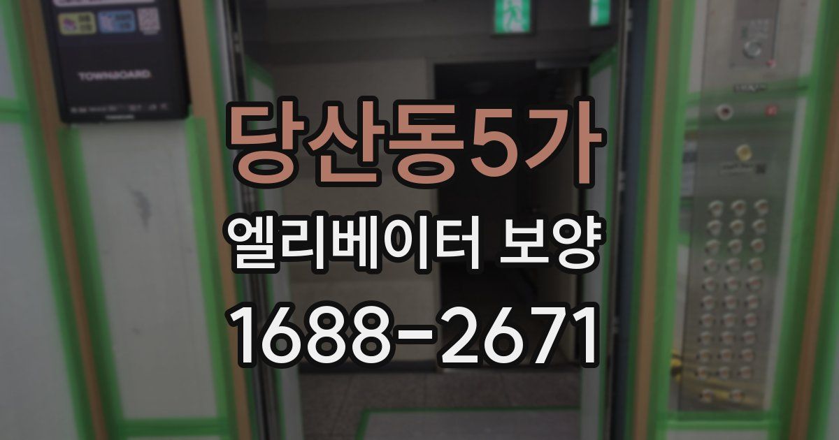 당산동5가 엘리베이터 보양
