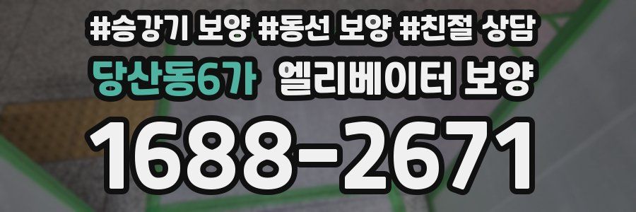 당산동6가 엘리베이터 보양