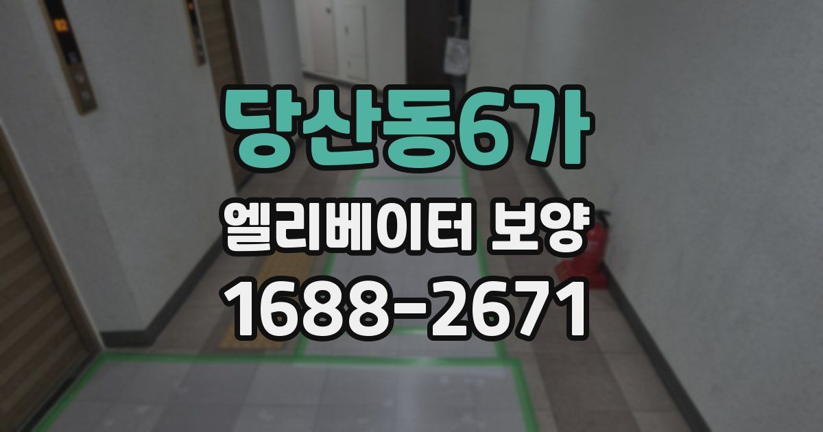 당산동6가 엘리베이터 보양