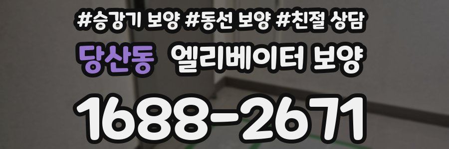 당산동 엘리베이터 보양