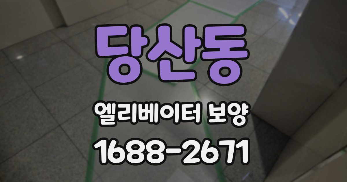 당산동 엘리베이터 보양