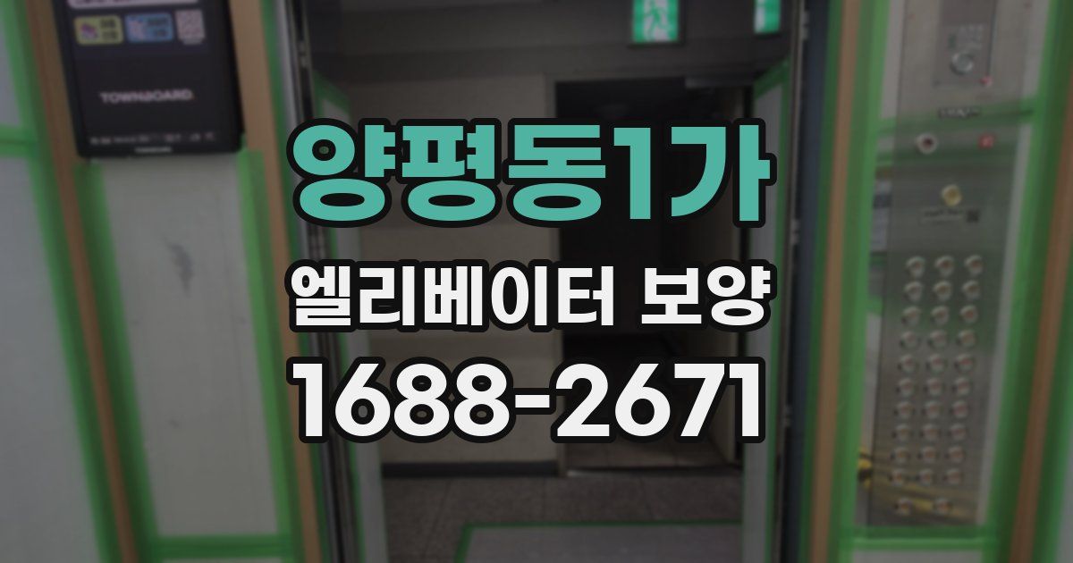 양평동1가 엘리베이터 보양