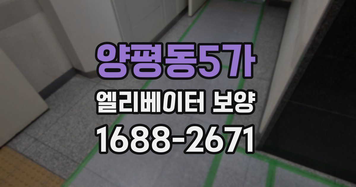 양평동5가 엘리베이터 보양
