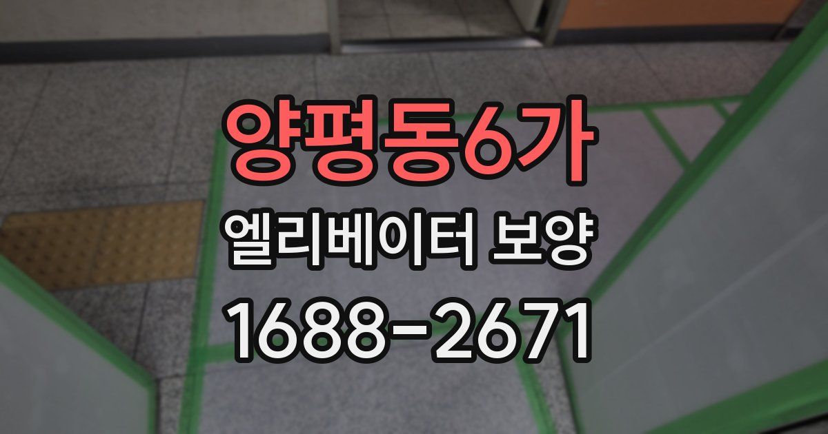 양평동6가 엘리베이터 보양