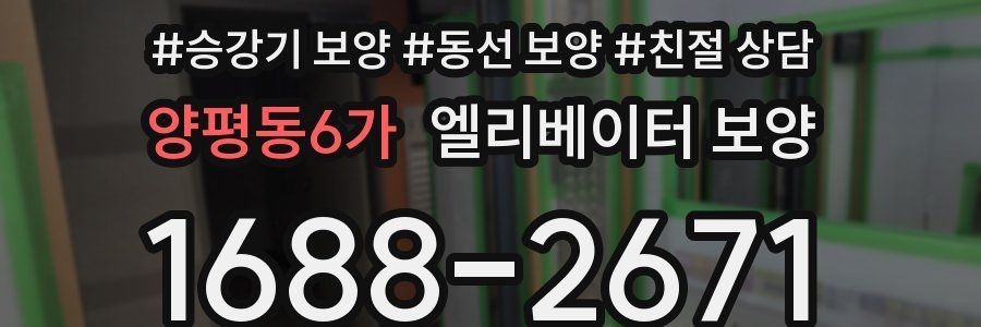 양평동6가 엘리베이터 보양
