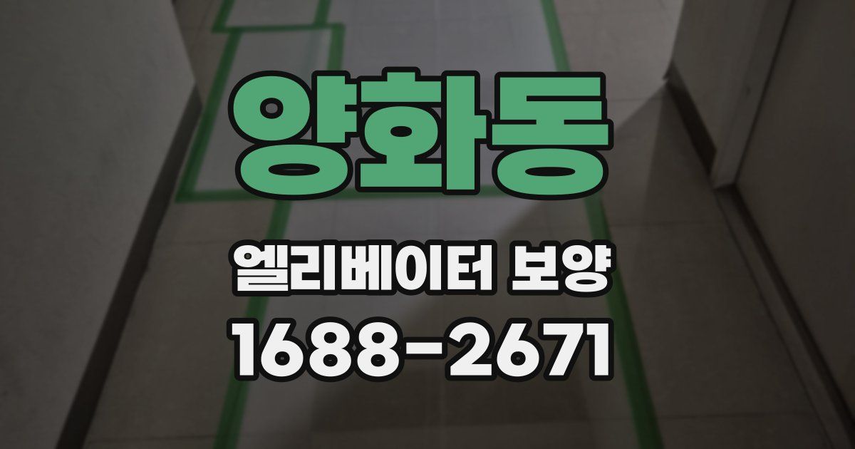 양화동 엘리베이터 보양